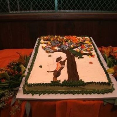 Ut Groom's Cake - Get Em Smokey