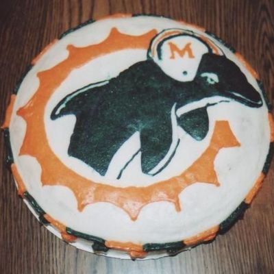 Miami Dolphin