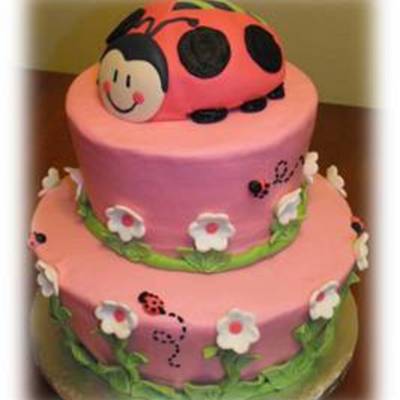 Pink Lady Bug