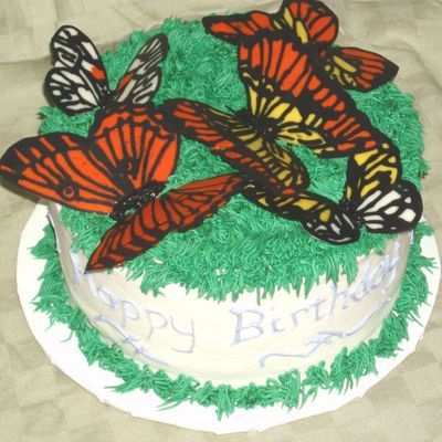 Chocolate Butterflies