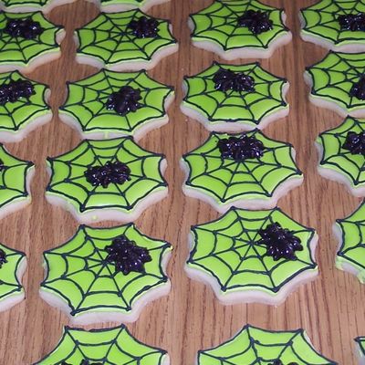 Spider Webs