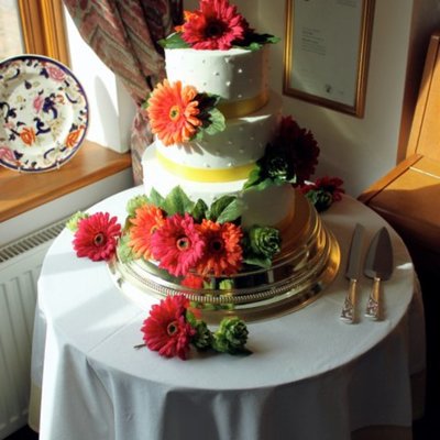 Wedding Cake Gerbera