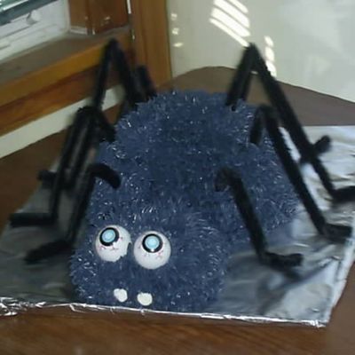 Spider Cake