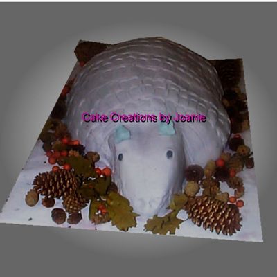 Armadillo Cake
