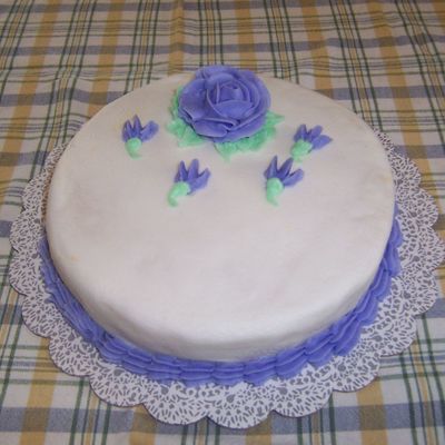 Wilton Class #1 Practice Cake