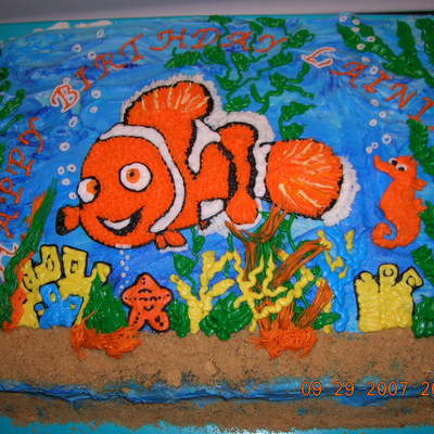 Nemo Style Clown Fish