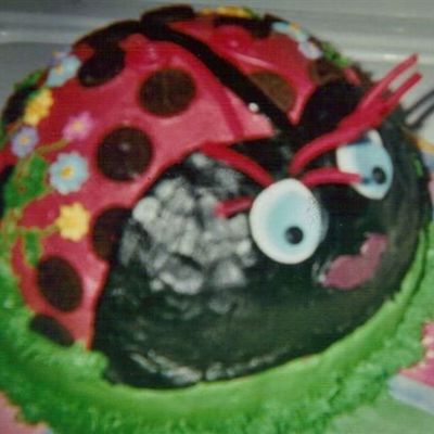 Lady Bug Cake