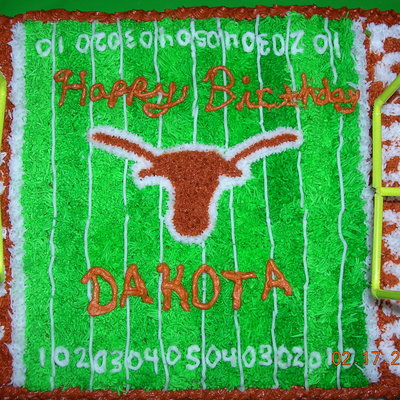 Texas Longhorn Football Field #2