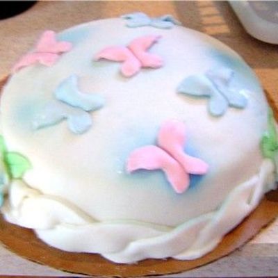 Baby Butterfly Wings 2