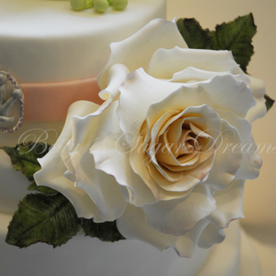 Rose For Frog Prince