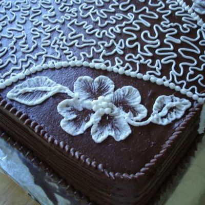 My First Cornelly Lace And Bruch Embroidery