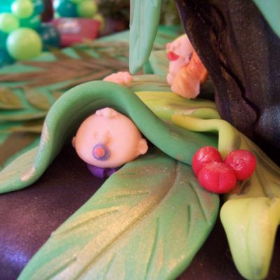 Jungle Cake