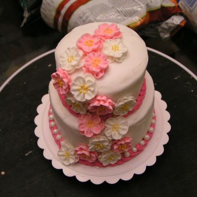 Practice Mini Cake