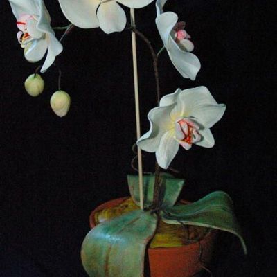 Gumpaste Moth Orchid