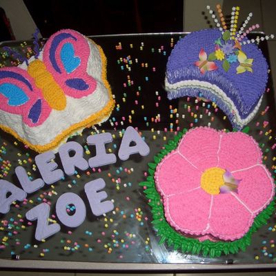 Butterfly And Flower Garden