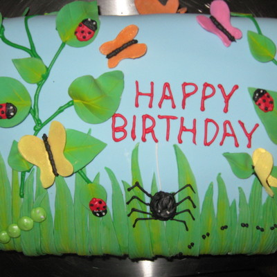 Bug Birthday Cake