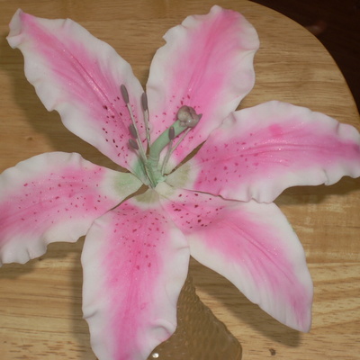 Stargazer Lily
