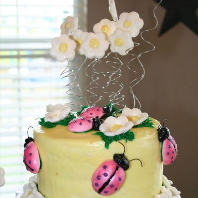 Ladybug & Daisies