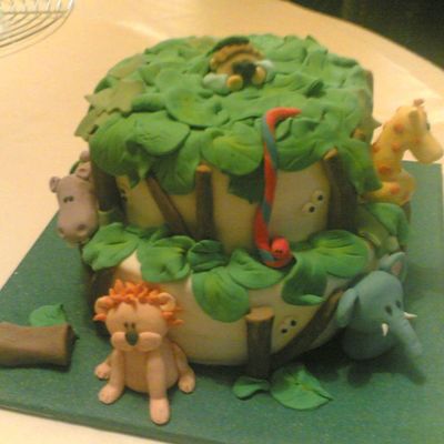 Other View Of Jungle