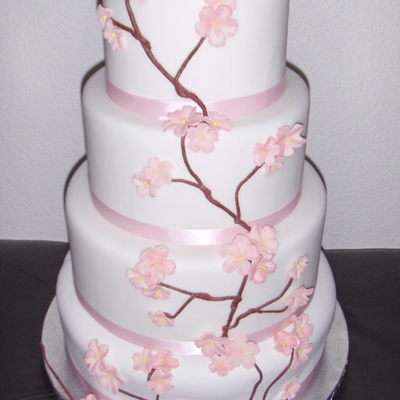 Cherry Blossoms