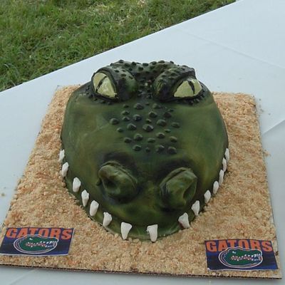 Closer View Of Florida Gator