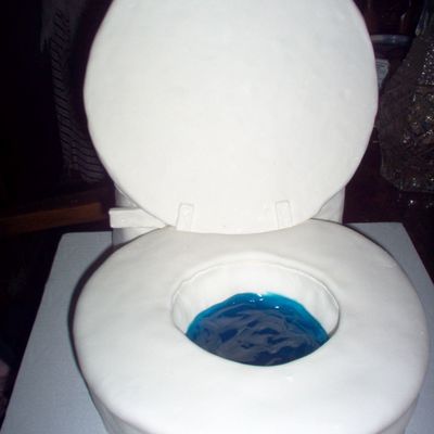 Toilet Cake