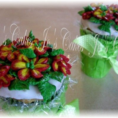 Individual Cupcakes