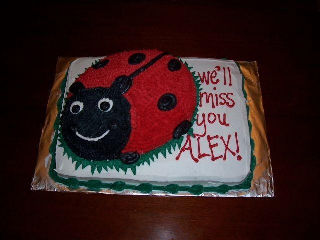 Lady Bug