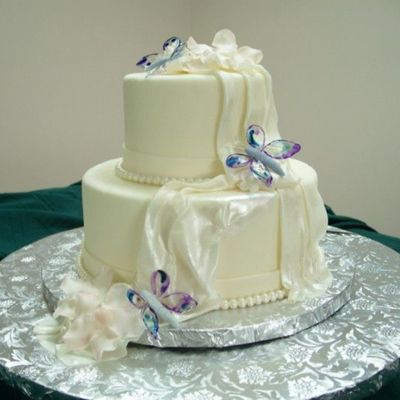 Glass Winged Butterflies