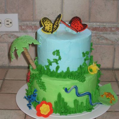 Rainforest Birthday Cake