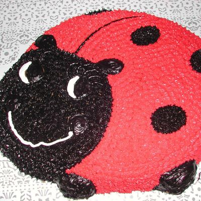 Emmas Lady Bug Cake