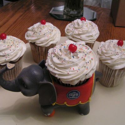 Large Swirl Cupcakes