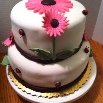 Ladybug Cake With Buldge