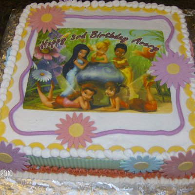 Granddaughters Birthday! Tinkerbell