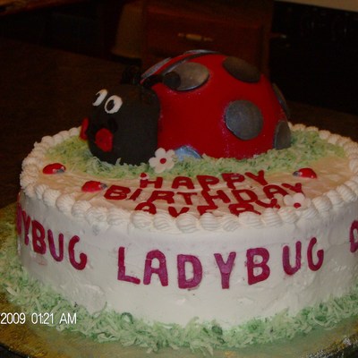 Ladybug Cake