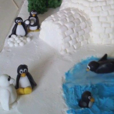 Penguins Playing