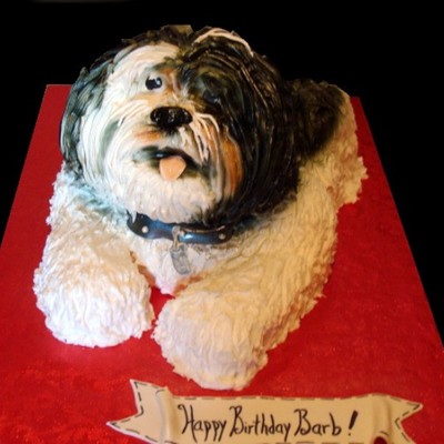 Dixie The Lhasa Apso