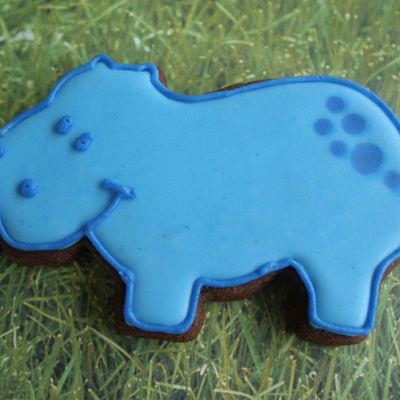 Hippo