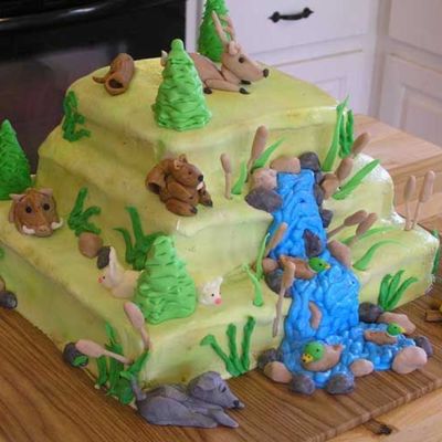 Hunting Cake