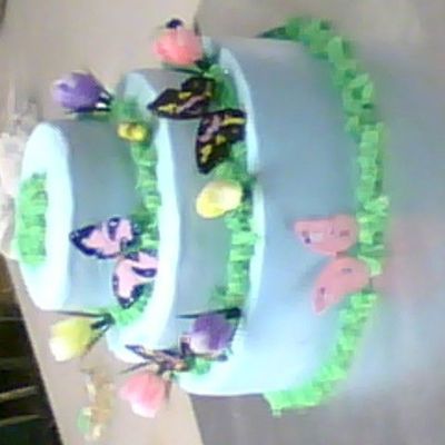 Butterfly_Cake.jpg
