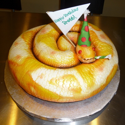 Albino Ball Python Birthday Snake