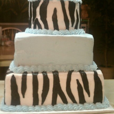 Zebra Print And Light Blue