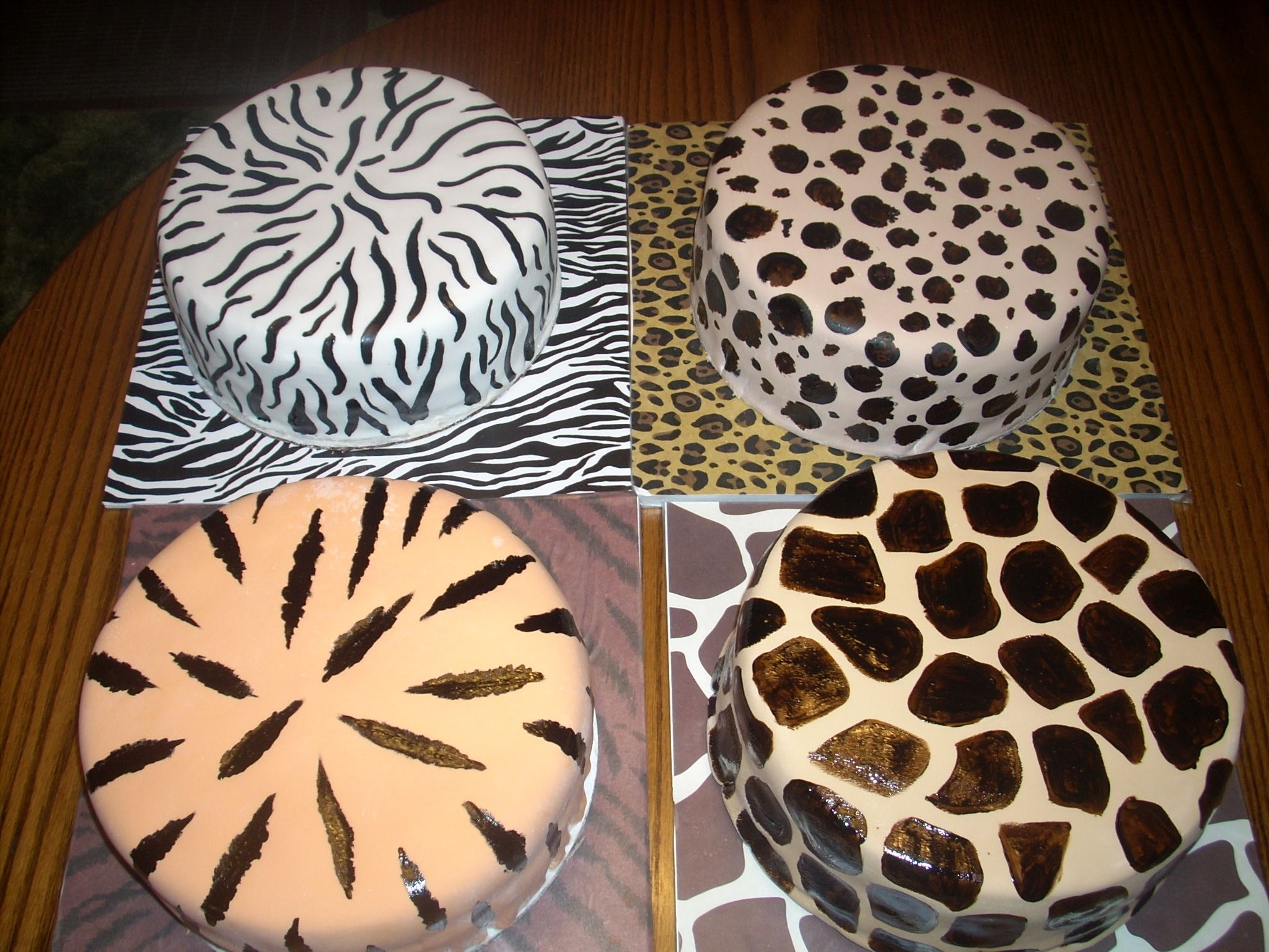 It's A Jungle Out There....