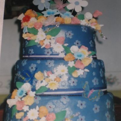 ..... Gabby's 7Th Birthday Cake.....