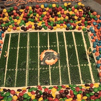 Miami Dolphins..close Up