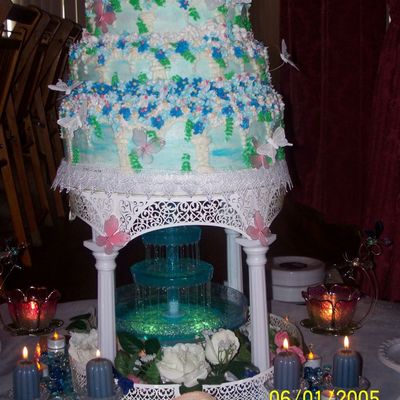 Butterfly With The Setup