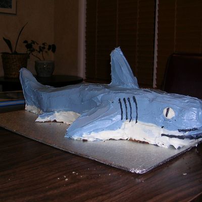 Birthday Shark