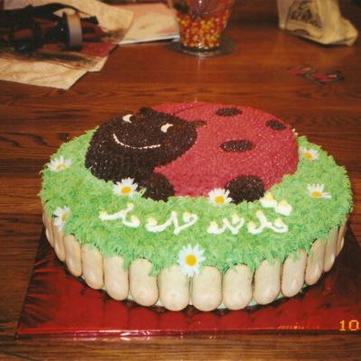 Ladybug Cake