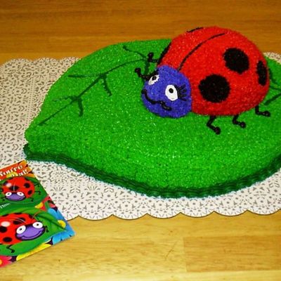 Ladybug Cake