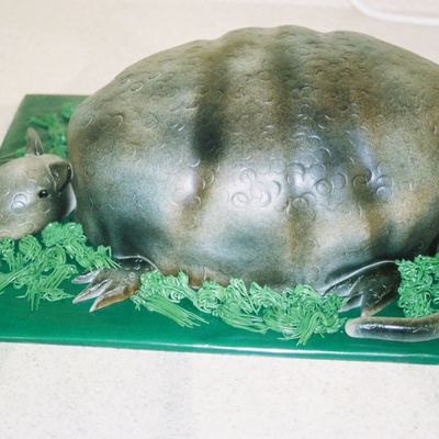 My First Armadillo Cake